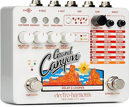 fender looper pedal Grand Canyon Delay and Looper Pedal Open Box