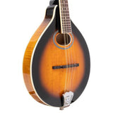 Gold Tone GM-50+ A Style Mandolin (Free Shipping)