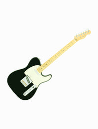 Fender American Professional II Telecaster 885978577361